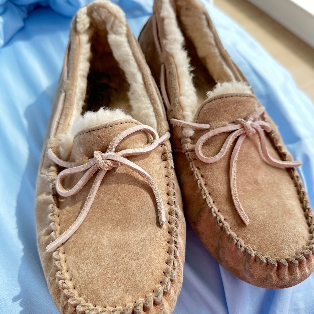 Ugg women Dacota slipper